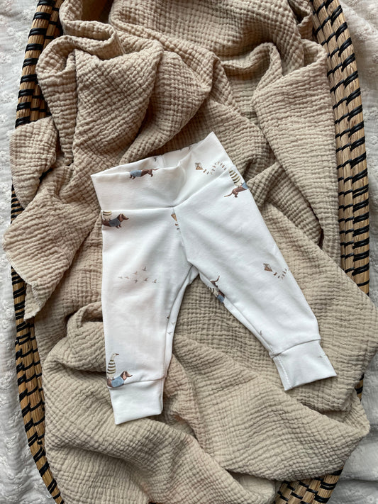 Culotte | Teckel