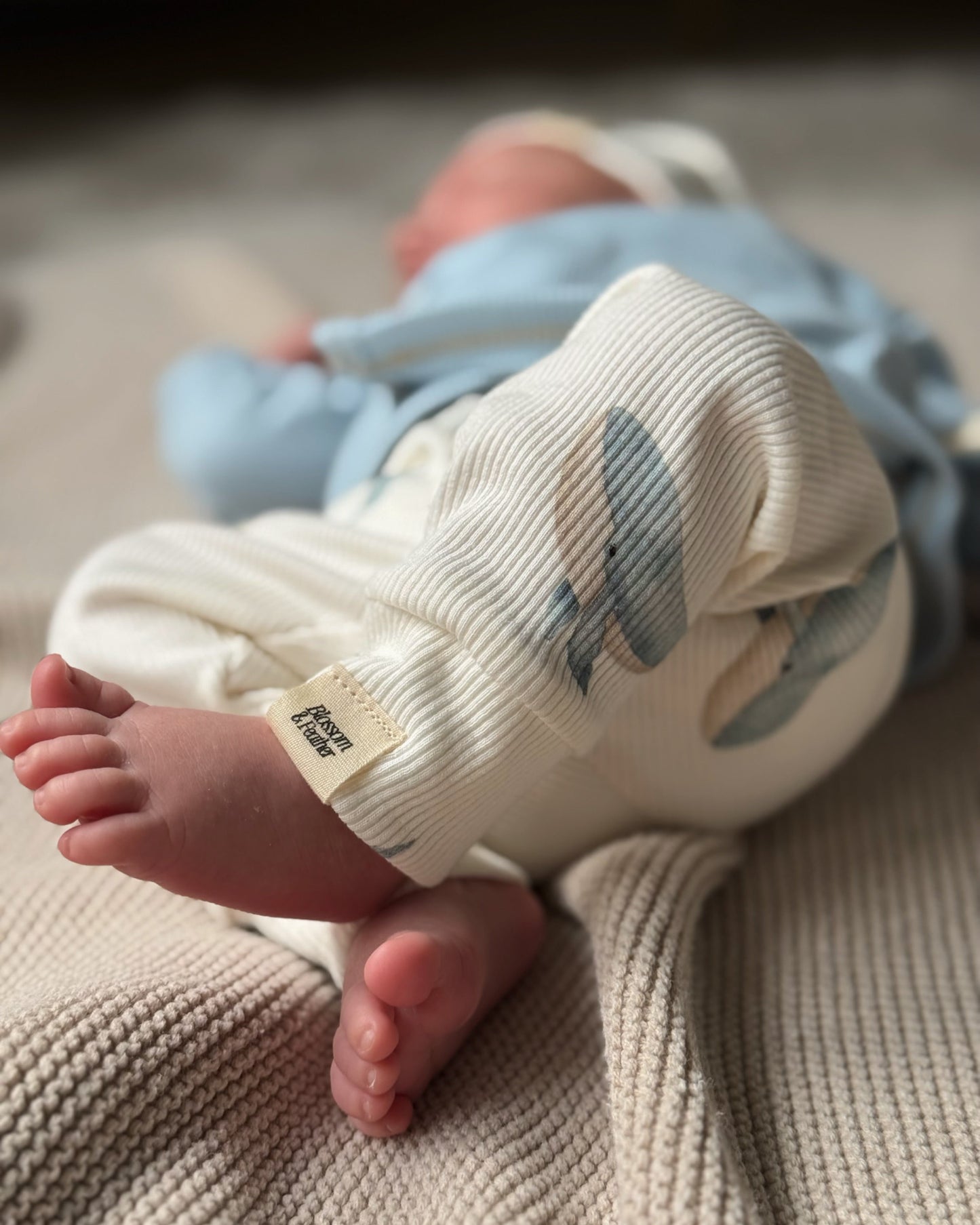 Broekje rib | Walvis afbeelding 3 - Blossom & Feather