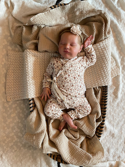 Boxpakje | Stella