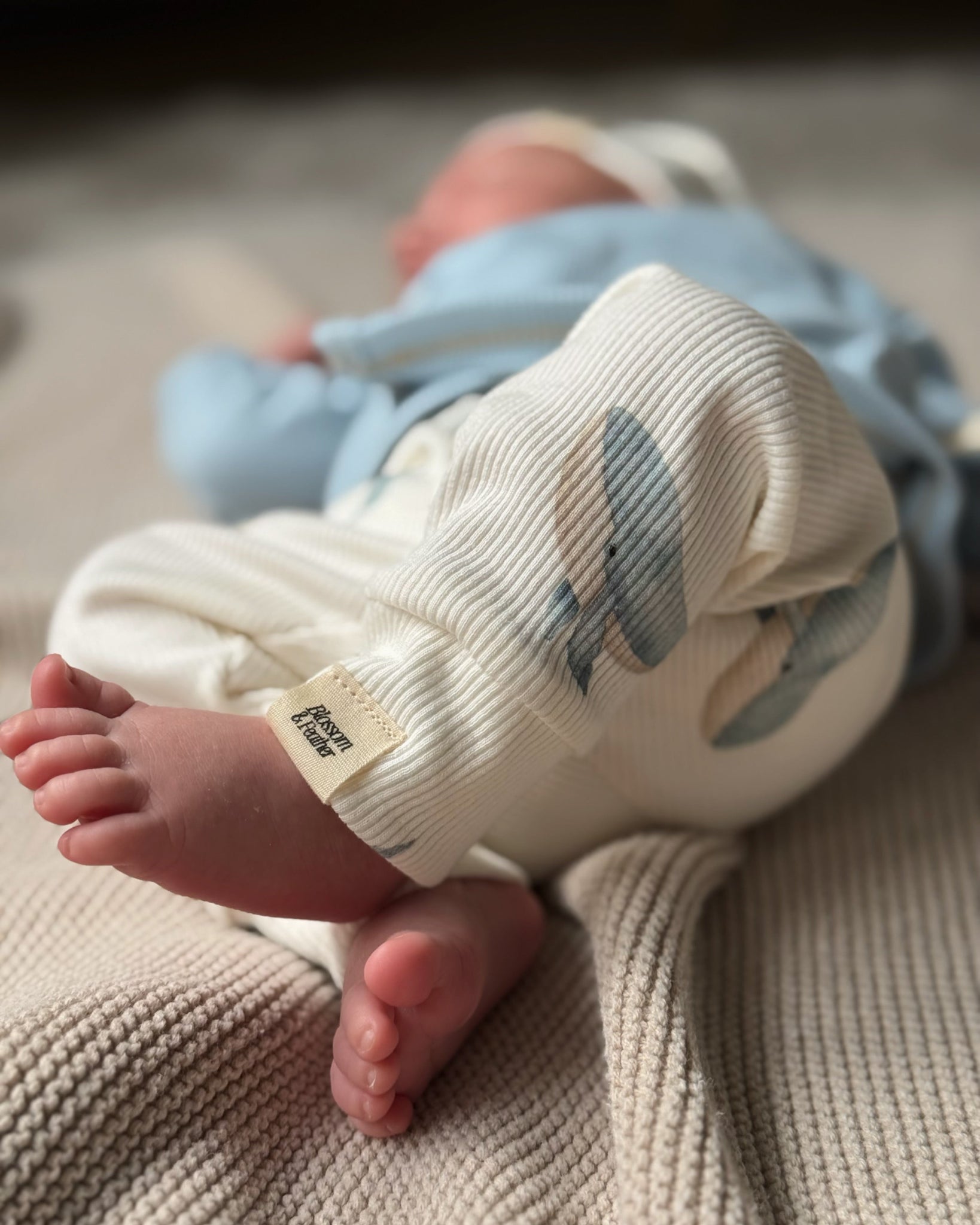 Broekje rib | Walvis afbeelding 3 - Blossom & Feather