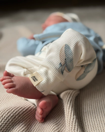 Broekje rib | Walvis afbeelding 3 - Blossom & Feather