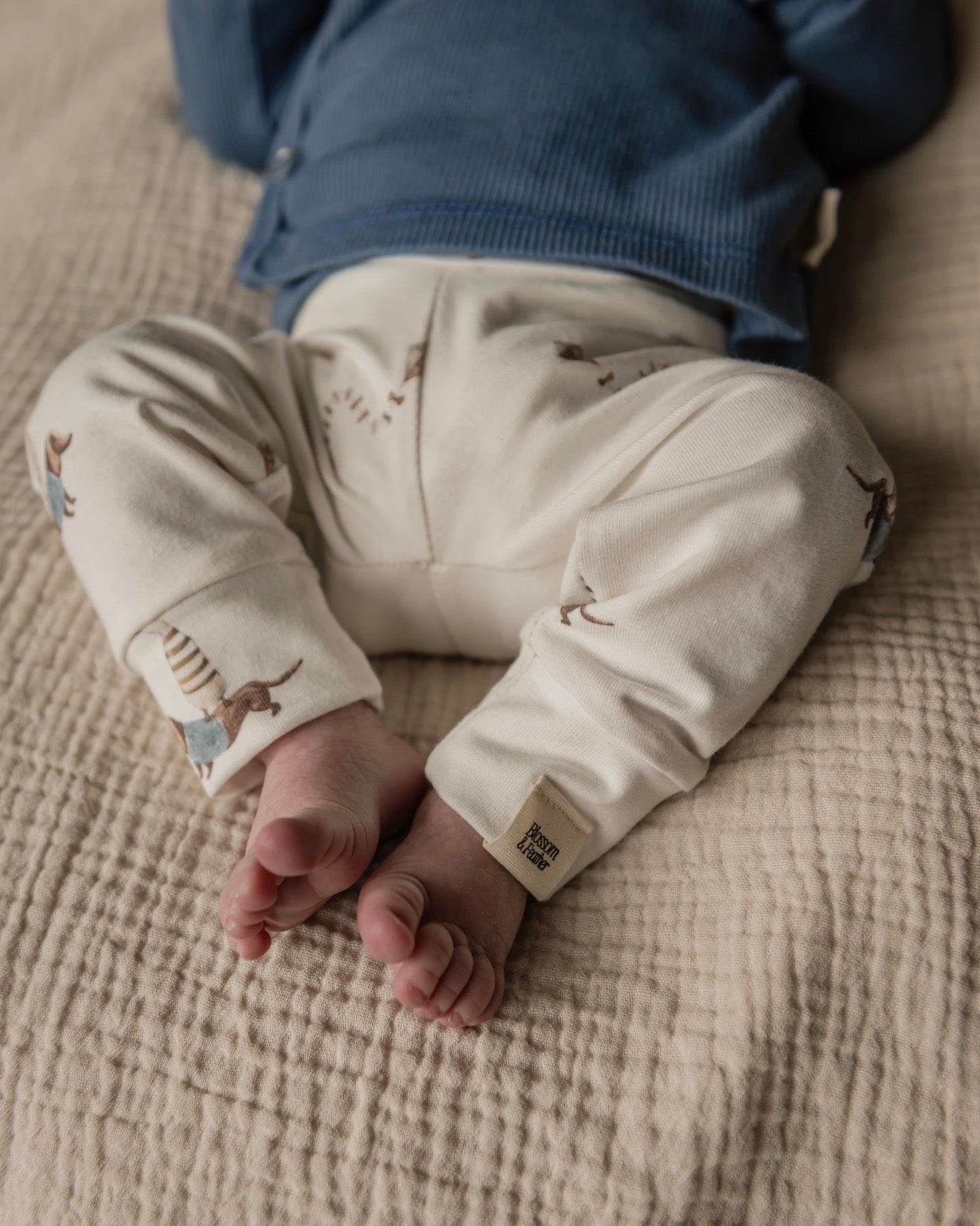 Broekje | Teckel afbeelding 2 - Blossom & Feather