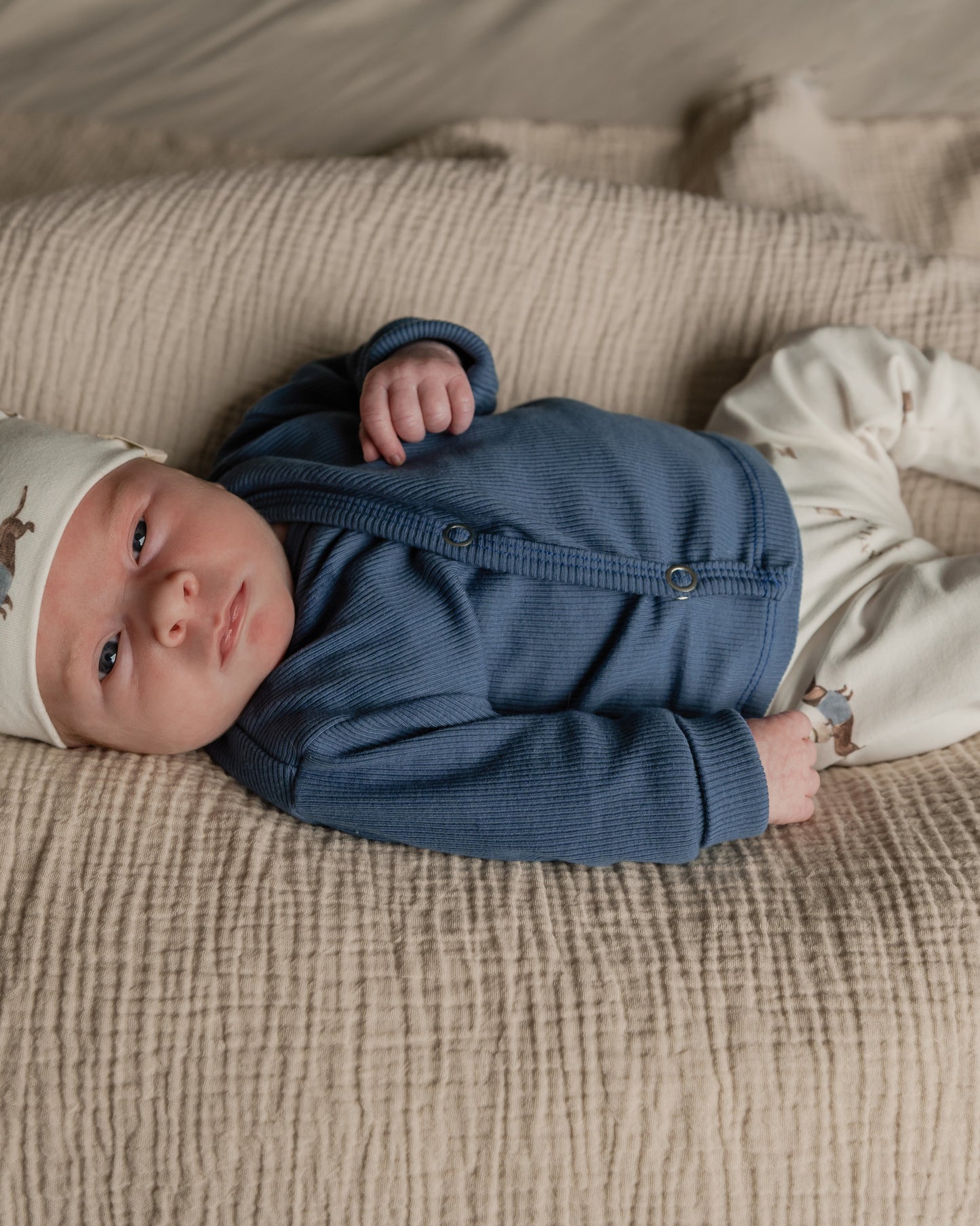 Broekje | Teckel afbeelding 3 - Blossom & Feather