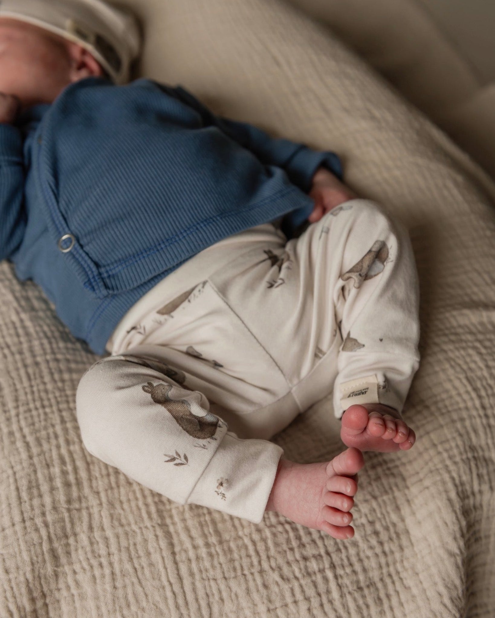 Broekje | Vosjes afbeelding 1 - Blossom & Feather