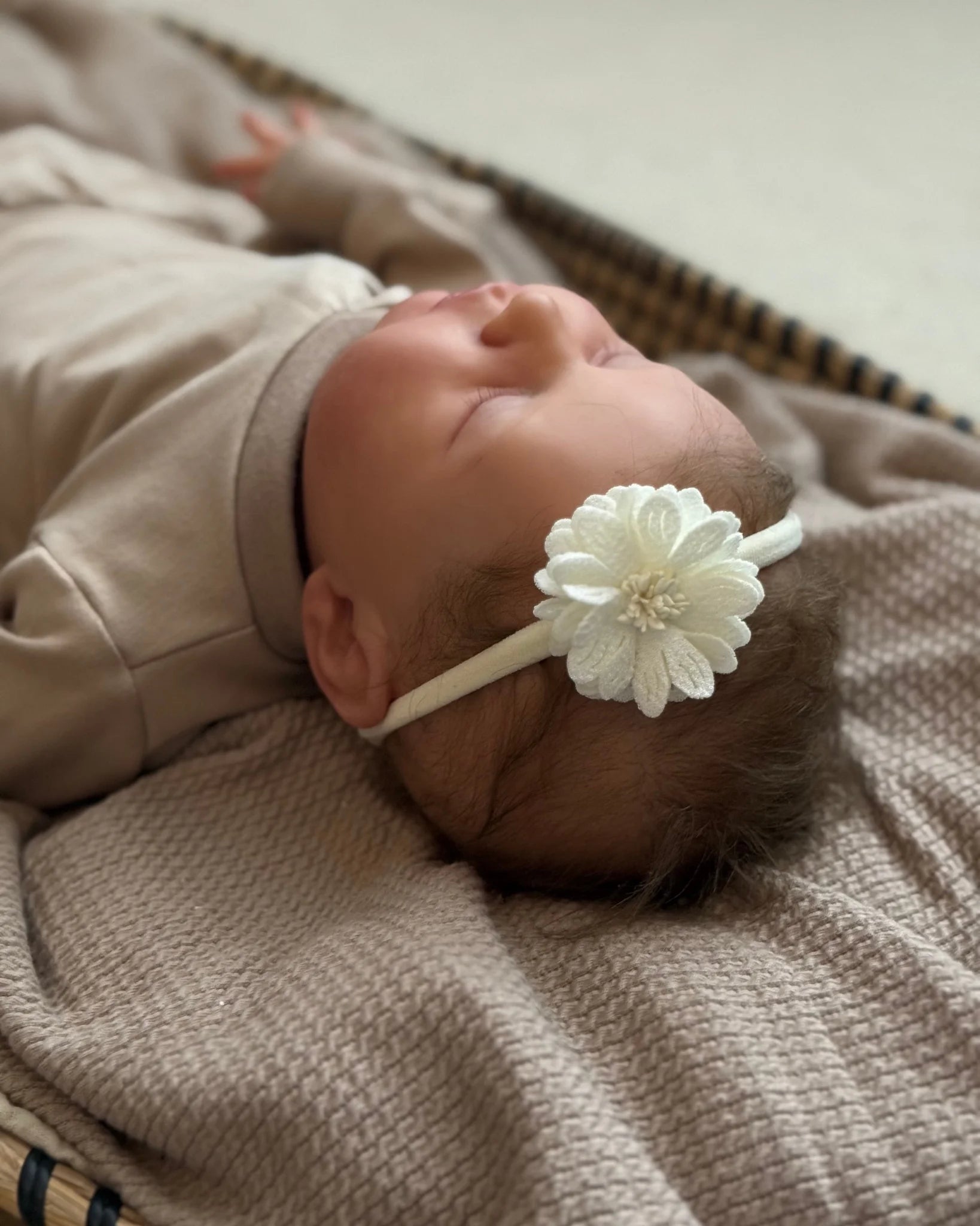 Haarbandje Rosa | Ivory . Op voorraad - Blossom & Feather